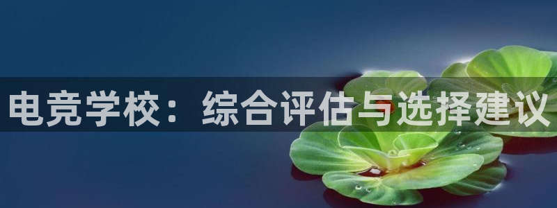 完美电竞直播：电竞学校：综合评估与选择建议
