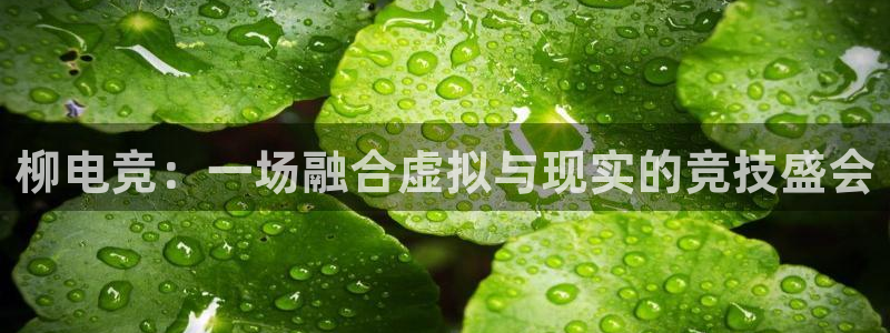 完美电竞|官网：柳电竞：一场融合虚拟与现实的竞技盛会