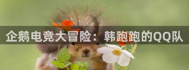 完美电竞联赛