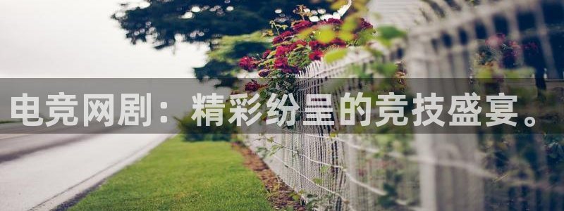 完美电竞联赛：电竞网剧：精彩纷呈的竞技盛宴。