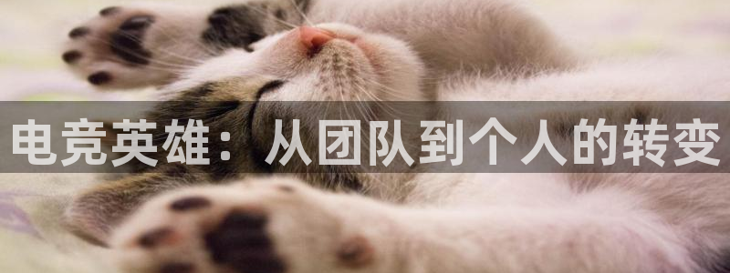 完美电竞世界平台下载：电竞英雄：从团队到个人的转变
