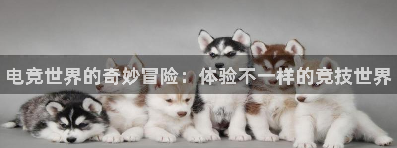 完美电竞平台排行榜：电竞世界的奇妙冒险：体验不一样的竞技世界
