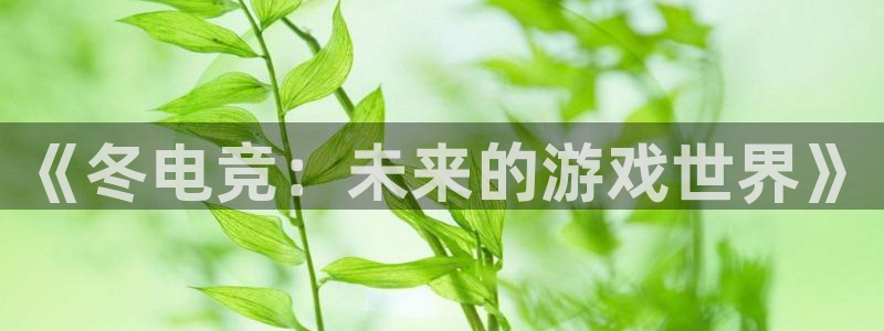 完美电竞开箱：《冬电竞：未来的游戏世界》