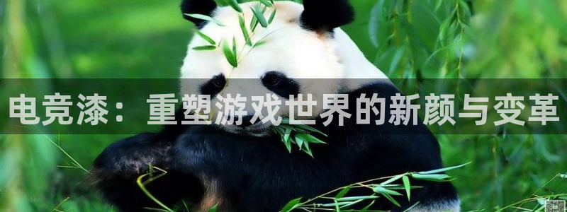 完美电竞app官网：电竞漆：重塑游戏世界的新颜与变革