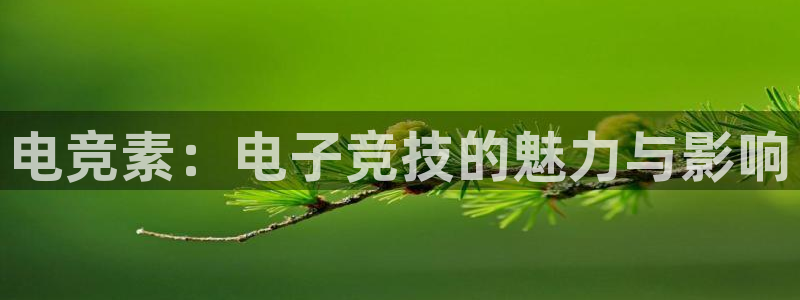 完美电竞平台官网网址：电竞素：电子竞技的魅力与影响